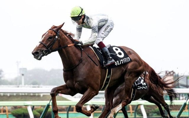 【競馬予想】函館記念は10年連続で万馬券　今年「穴」をあけそうな狙い目の２頭は？