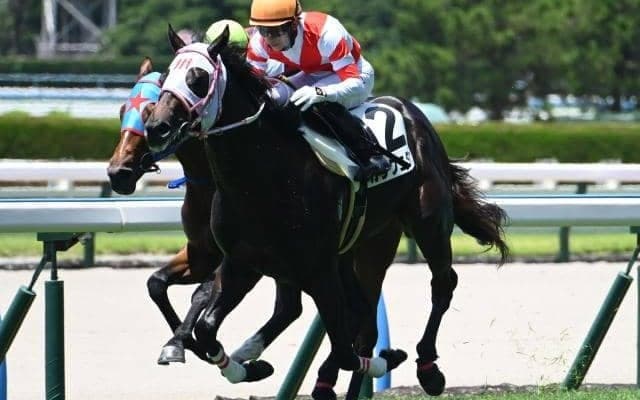 【小倉5R新馬戦結果】ネロ産駒カラクニダケが人気に応えてV