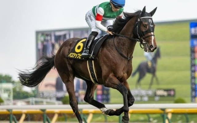 【ラジオNIKKEI賞予想】意外にも前走人気馬の活躍が目立つ！ 過大評価に注意したい馬とは