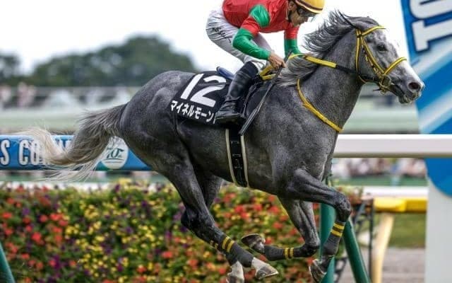 【函館記念予想】今年は例年以上に前有利!? 評価すべき点よりも不安要素が目立つ人気馬とは