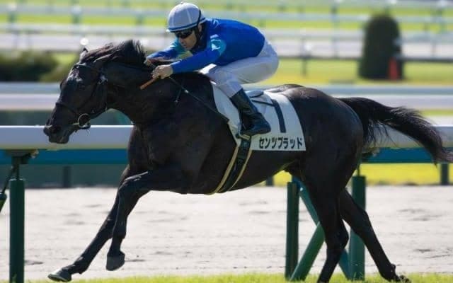 【ラジオNIKKEI賞前日オッズ】センツブラッドが6.2倍で1番人気