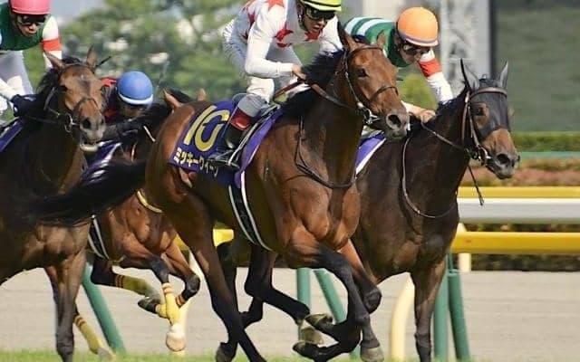 活躍馬続出の名牝系出身 木村哲也厩舎のハイティーが初陣Vなるか