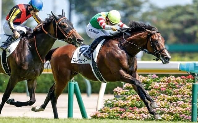 【今日の注目ポイント】函館記念と福島でラジオNIKKEI賞