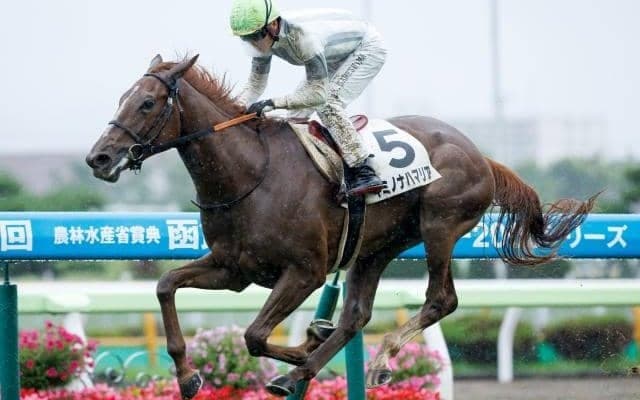 【函館記念予想】サマー2000シリーズの幕開け飾る一戦 コーナーをロスなく回る器用さが求められる