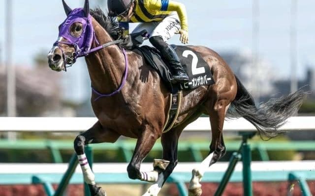 【ラジオNIKKEI賞予想】JRA唯一の「3歳ハンデ」重賞 ロングスパート型の馬が有利に