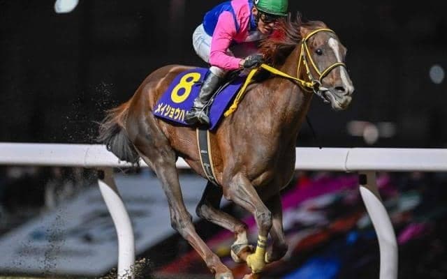 【大井・帝王賞枠順】JpnI・5勝目狙うメイショウハリオは6枠9番、アンタレスSを快勝したミッキーファイトは2枠2番
