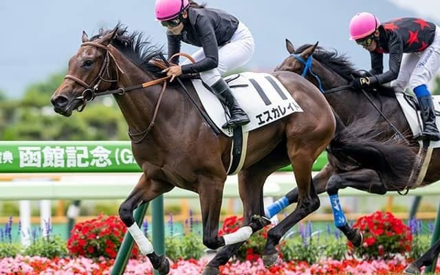 【函館5R新馬戦結果】ロードカナロア産駒エスカレイトが初陣飾る