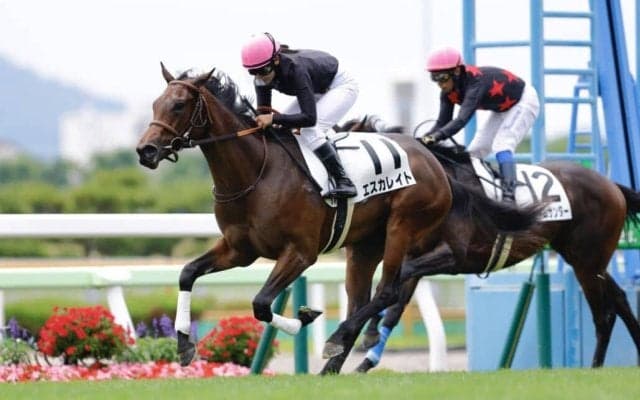 【新馬/函館5R】小林美駒騎乗 エスカレイトがデビューV