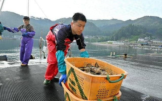 「漁師歴」10年の球児　未明に漁、朝練参加　一般企業希望の背景