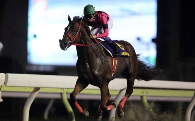 快足スマートファルコンの「9馬身差V」「2分1秒1」が燦然と輝く 帝王賞の勝ち時計ランキング