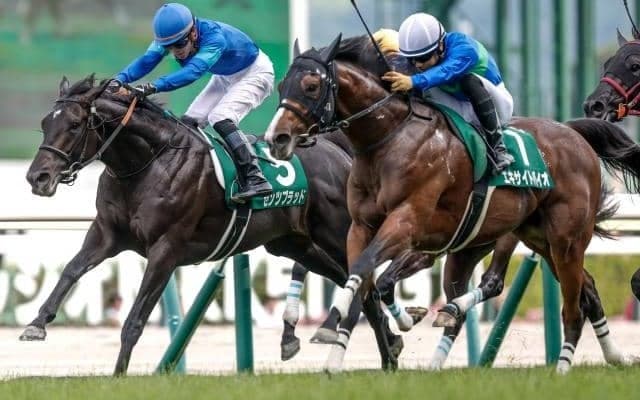 【ラジオNIKKEI賞】売上は60億2760万4900円で昨年より約2.6億円減少