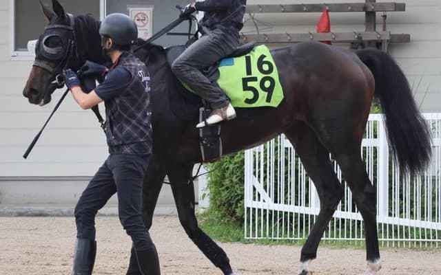母はオークス馬シンハライト 土曜福島で初陣迎えるアランカール/関西馬メイクデビュー情報