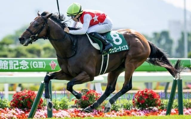 リアルスティール産駒の成功する配合パターンに該当 ヴェローチェエラが重賞初制覇