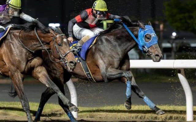 【帝王賞】地方馬15年ぶりの戴冠なるか 粒ぞろいのメンバーで打倒JRA勢へ