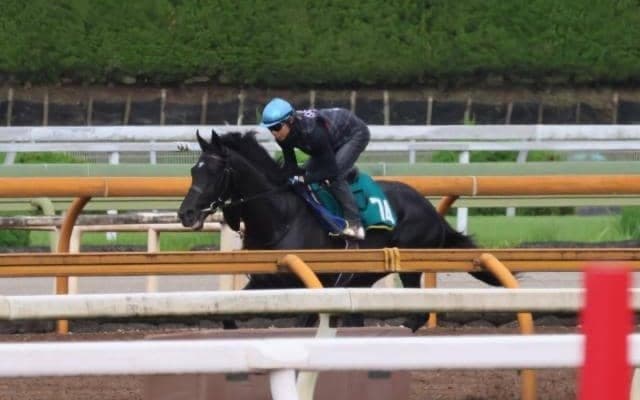 ベレシートなど、先週の入厩情報/栗東トレセンニュース