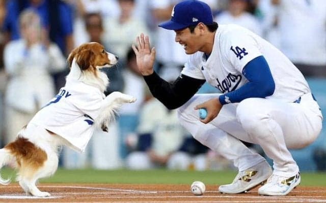 「デコちゃん、まさか泳げたとは」大谷翔平インスタ更新　愛犬デコピンの愛くるしい姿に話題沸騰「わぁ、涼しそう！」