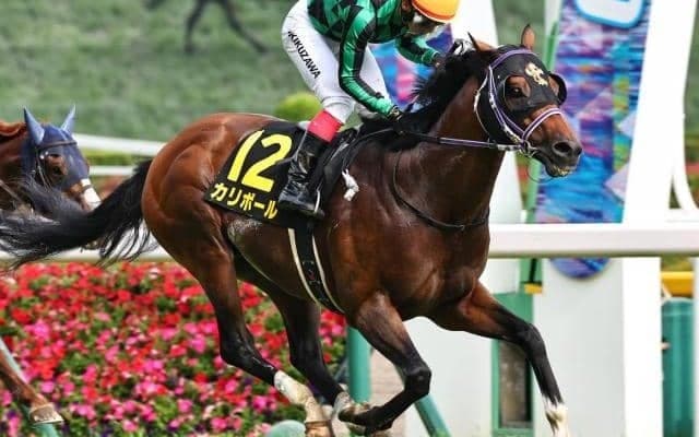 【北九州記念】カリボールにかかるアドマイヤマックス以来20年ぶりの「珍偉業」とは？