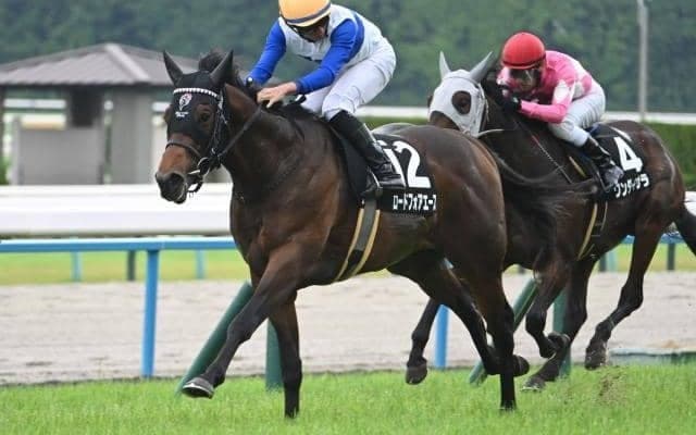 【北九州記念予想オッズ】ロードフォアエースが予想1番人気