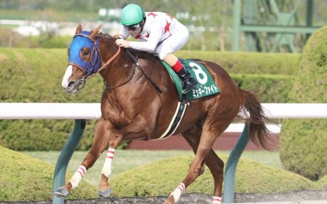 【帝王賞】ミッキーファイトは2枠2番
