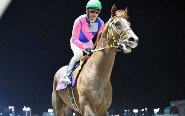 【帝王賞】メイショウハリオ無念の競走除外…史上初の帝王賞3勝目ならず