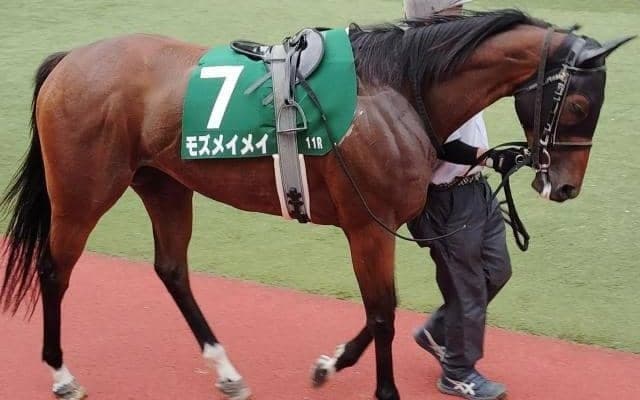 今年も北九州記念で復活か モズメイメイが昨年魅せた大激走