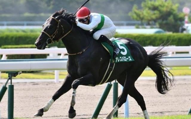 北九州記念勝ち時計ランキング 1位は菱田裕二騎手の重賞初V
