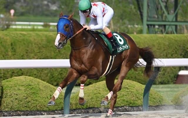 【大井・帝王賞注目馬】中央馬の15連勝か、地方馬が意地をみせるか ダート王者決定戦に13頭