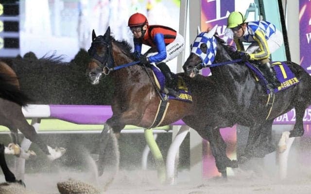 【帝王賞】吉原「チャレンジしたかった」高知シンメデージーは9着