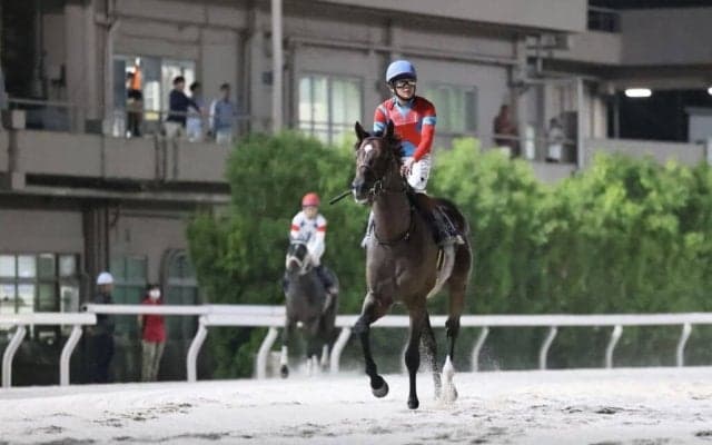 【帝王賞】三浦「ここを使って良くなる」東京ダービー馬ラムジェットは6着