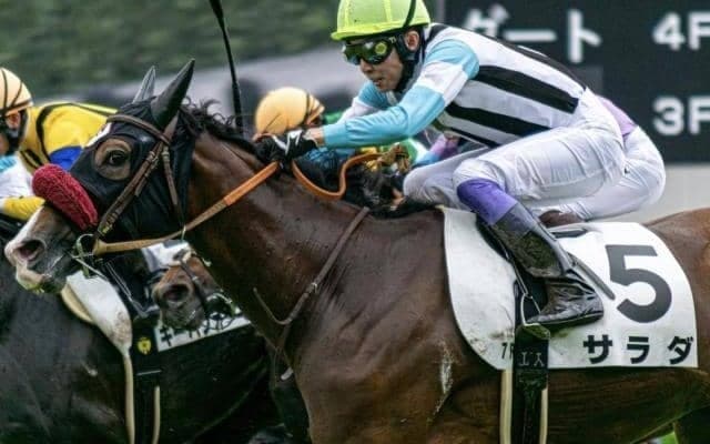 日曜小倉にサラダが出走 「サラダ記念日」に勝利なるか