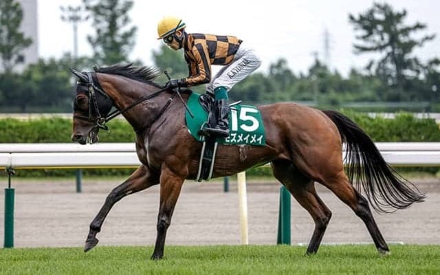 【北九州記念】2年目の高杉吏麒騎手 モズメイメイで重賞初勝利なるか