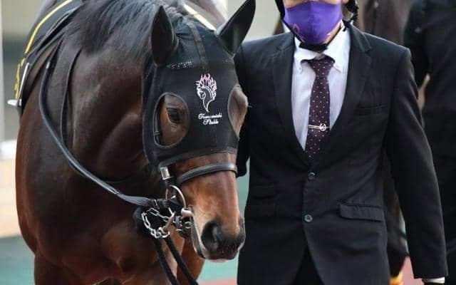 【竜飛崎特別】5億円馬リアド ダート4戦目で2年半ぶりの勝利なるか