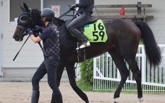 【JRA新馬戦】オークス馬シンハライトの仔アランカールなどがデビュー