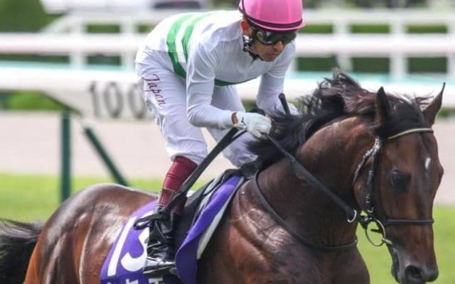 キセキ産駒がJRA初出走Vなるか サインが日曜小倉でデビュー