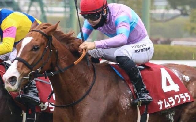 【TVh杯】半姉は重賞5勝のナムラクレア ナムラクララがオープン返り咲きを狙う