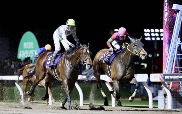 【スパーキングレディーC】テンカジョウなどJRA4頭