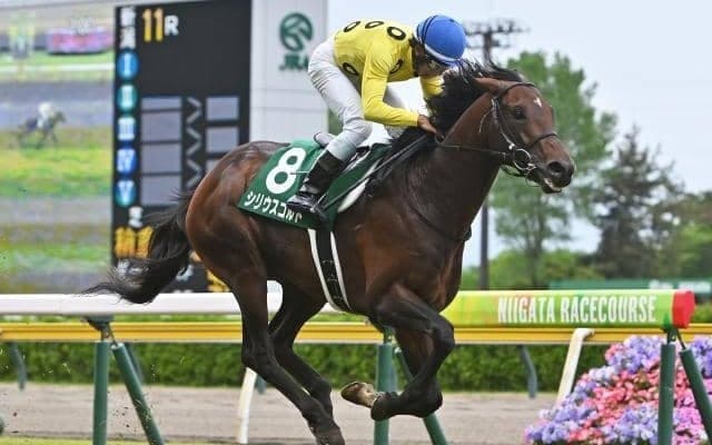 【七夕賞想定馬・騎手】シリウスコルト、ドゥラドーレスなど14頭