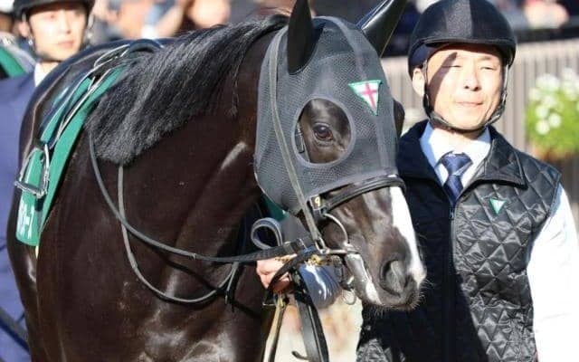 今週の武豊騎手は13鞍 ジャスティンアースで大沼Sに初参戦