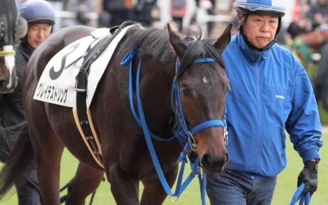 デビューから100％連対 グレイテストソングが破竹の3連勝となるか