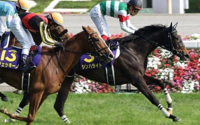 母はオークス馬のシンハライト アランカールがデビューVなるか