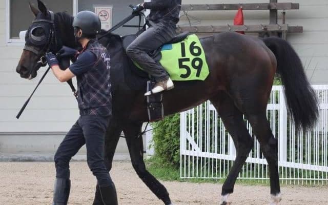 【今日の注目ポイント】福島新馬戦でシンハライトの仔アランカールがデビュー