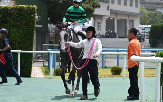 【小倉5R新馬戦結果】トーセンラー産駒キャンディードが初陣飾る