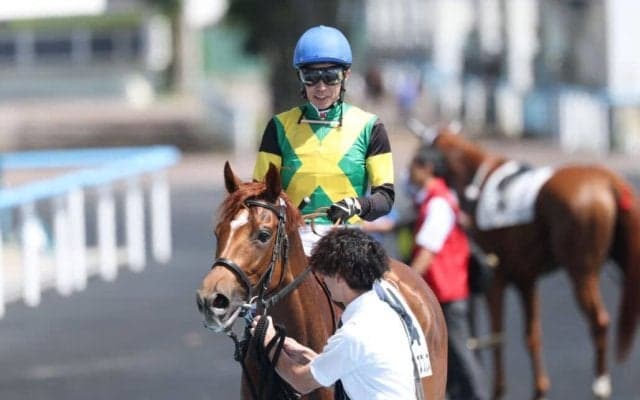 【函館8R】武豊ベビーズブレスが断然の支持に応える