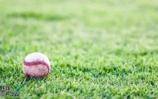 京都大会が開幕！大会初日の2試合ともにコールドゲームで決着【25年夏高校野球】







