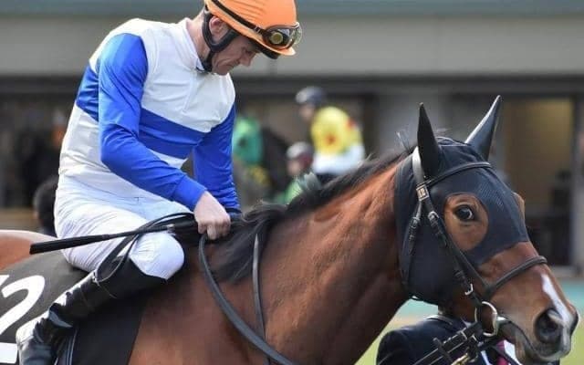 中内田調教師×川田騎手の血統馬 ロードラヴォールがデビューVなるか