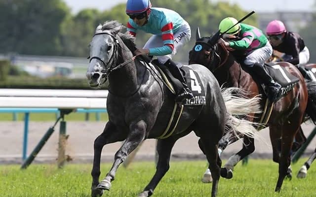 【今日の注目ポイント】小倉で短距離ハンデ重賞・北九州記念