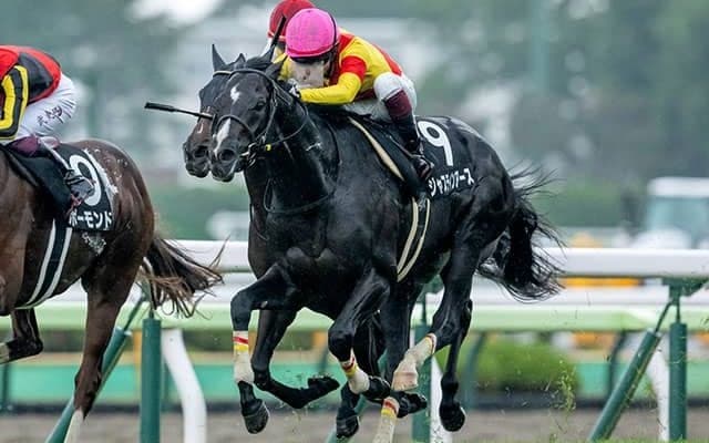 【大沼S】逃げ馬が好成績 軸として安定感のある年齢は？