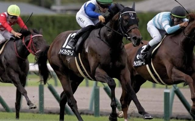 【北九州記念予想】波乱必至の短距離ハンデ重賞 過去10年間で1番人気は未勝利