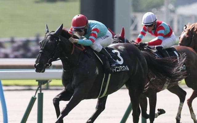 【競馬予想】高速決着必至の北九州記念　上り調子の「姉弟」が高額配当を運んでくる
