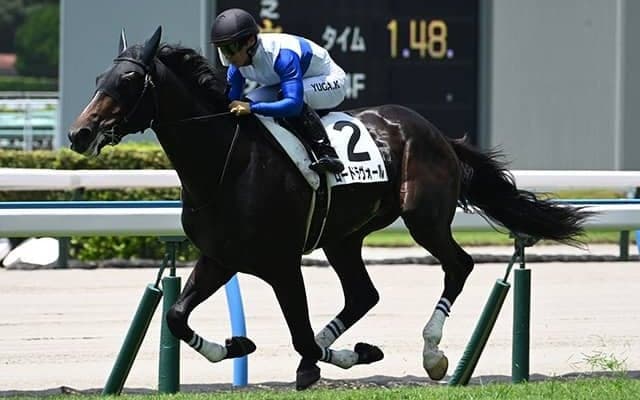 【小倉5R新馬戦結果】エピファネイア産駒ロードラヴォールが5馬身差で圧勝